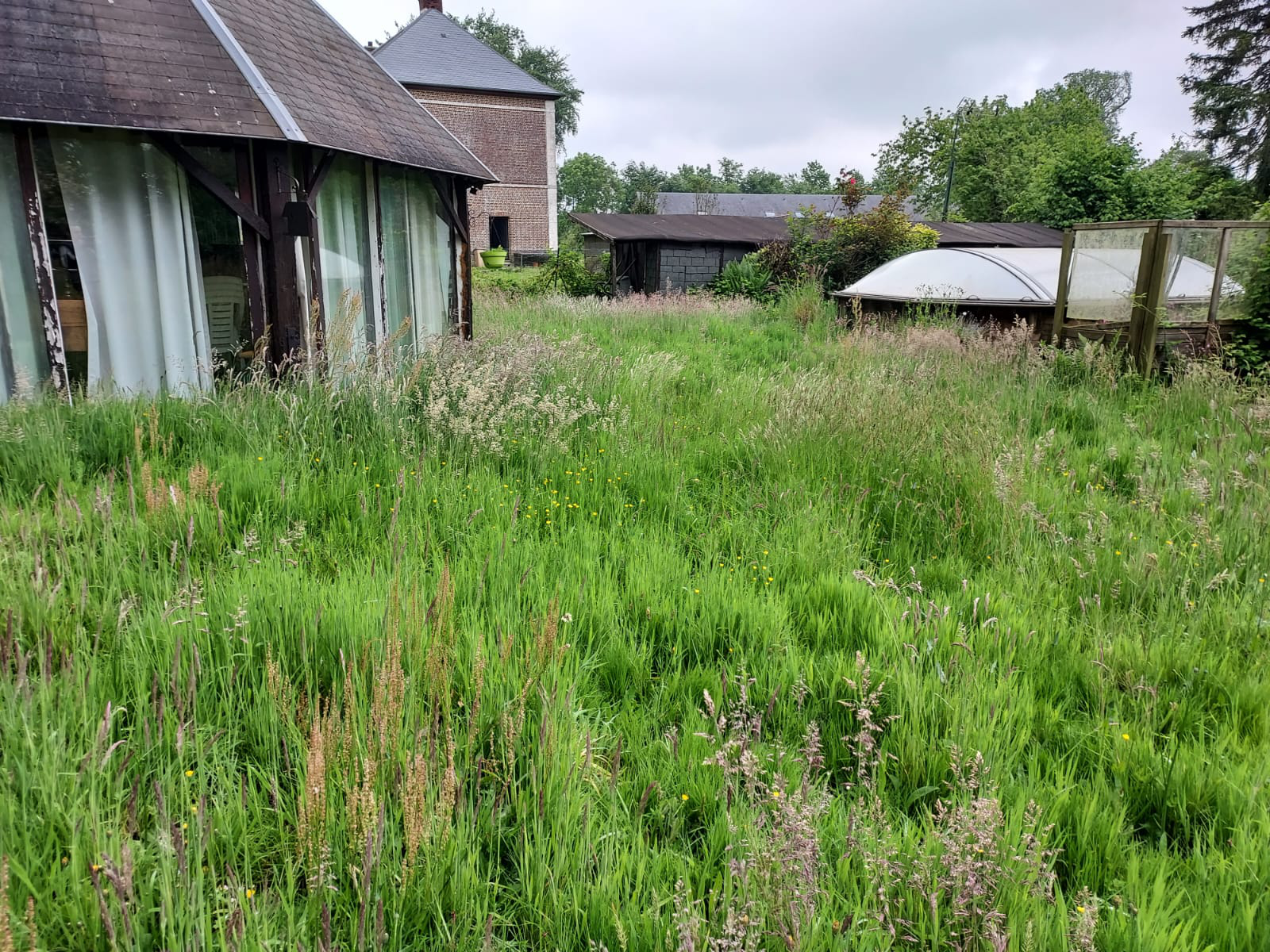 Jardin en friche